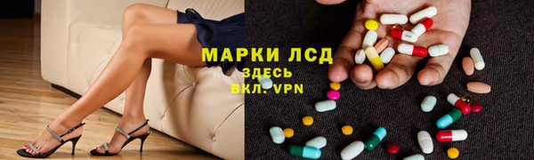 стафф Кодинск