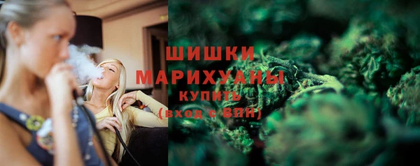 стафф Козловка