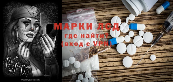 стафф Козловка