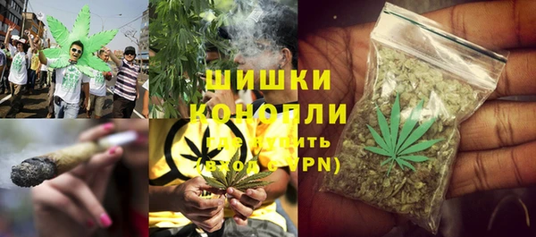стафф Козловка