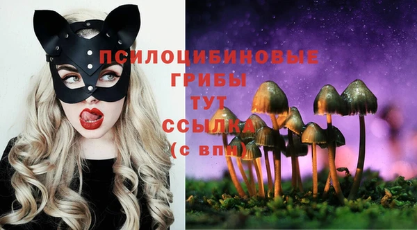 спайс Киреевск