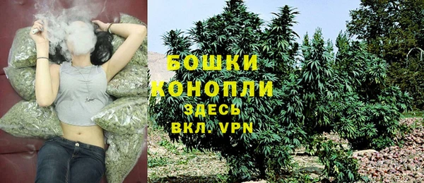 стафф Козловка