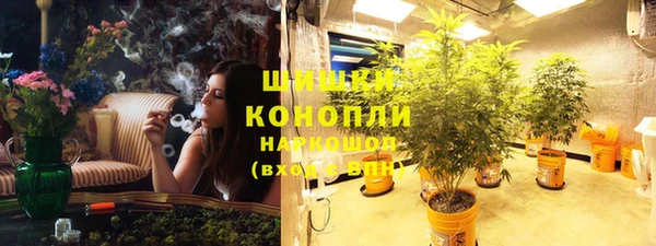 стафф Козловка