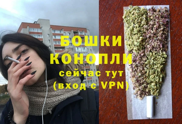 стафф Кодинск