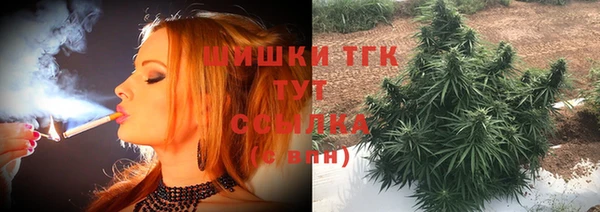 стафф Кодинск