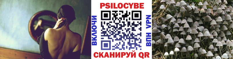 Псилоцибиновые грибы ЛСД  Купить закладки  Глазов 
